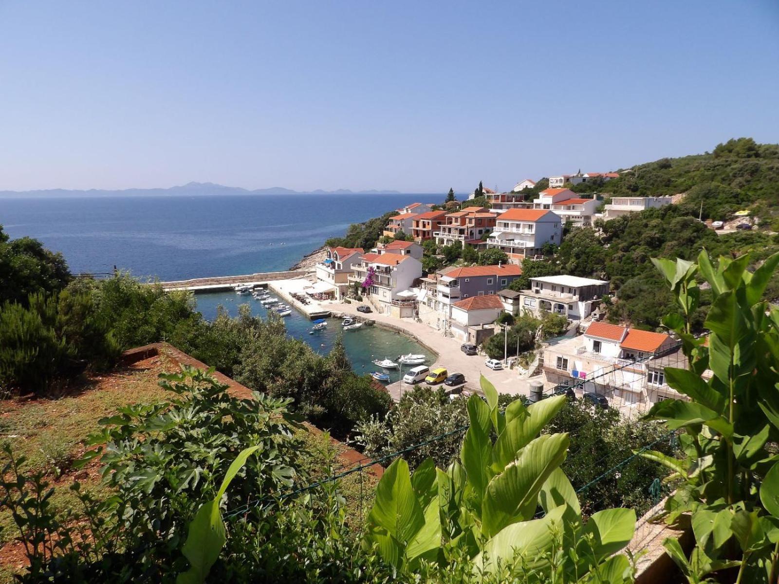 Daniela Apartman *